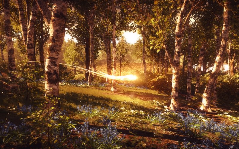 Everybody's Gone to the Rapture