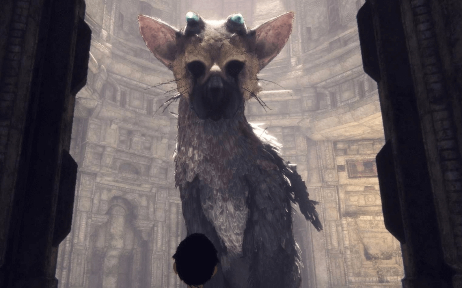 Ueda Hints He Could Go Back To Shadow of The Colossus-Like Open