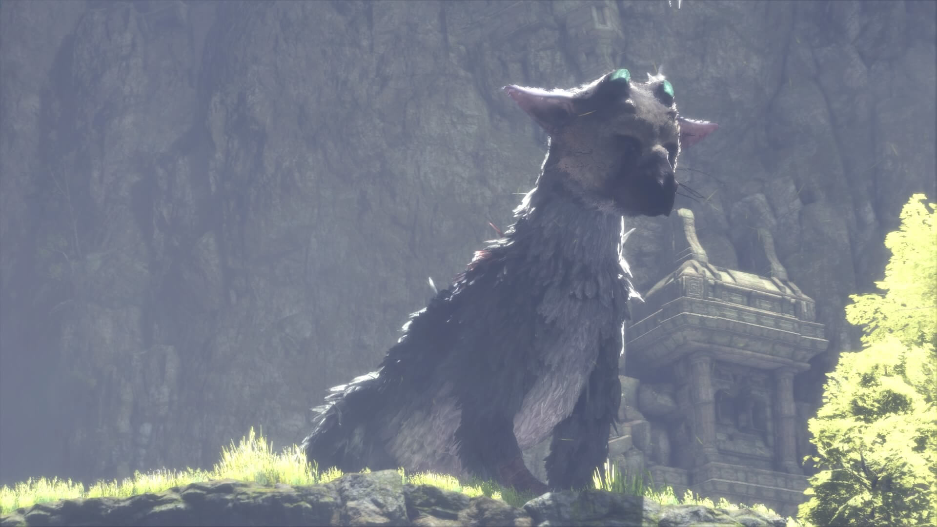 Игра the last guardian. Трико ласт Гардиан. Трико the last Guardian. Трико зверь the last Guardian.