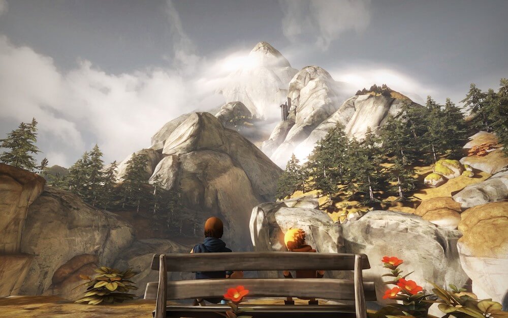 brothers: a tale of two sons